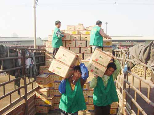 涿鹿县好帮手搬运公司专业装卸各种大小型货物超市钢材大型设备装